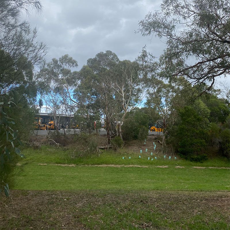 Before: Open, grassy area with trees and machinery in the background