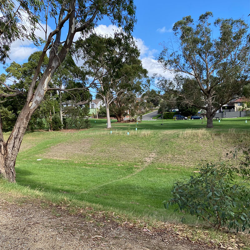 Before: Grassy area between dirt path and road, with trees in the background
