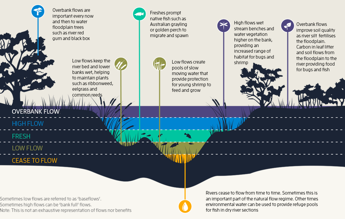 Birrarung (Yarra River) Flows Study Review | Melbourne Water