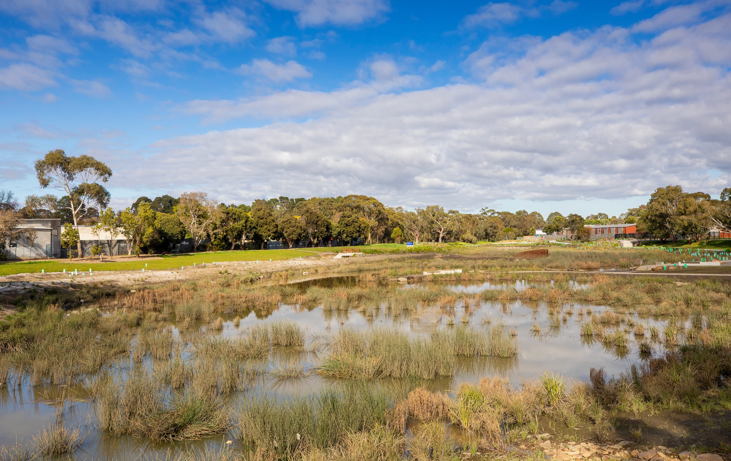 Tarralla Creek wetland