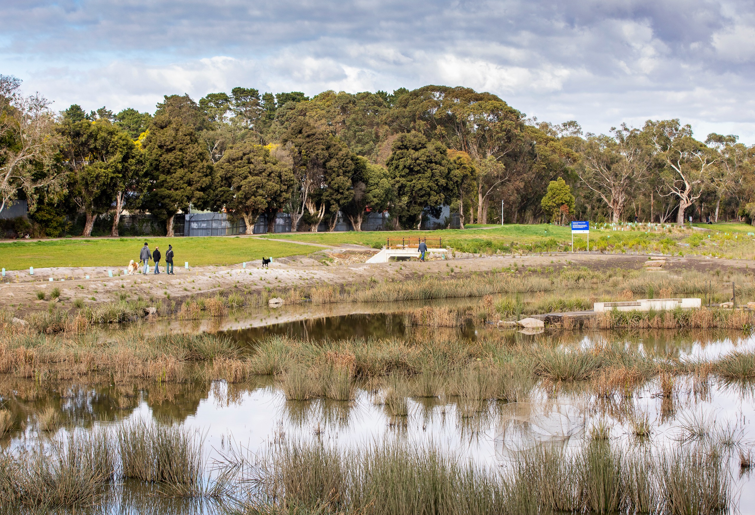 Planting along Tarralla Creek