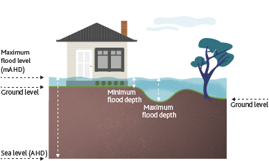 Diagram showing difference between flood levels, ground level and flood depths.