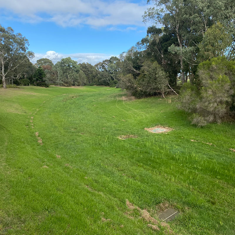 Before: Open, grassy area following the contour of the underground drain, lined with trees