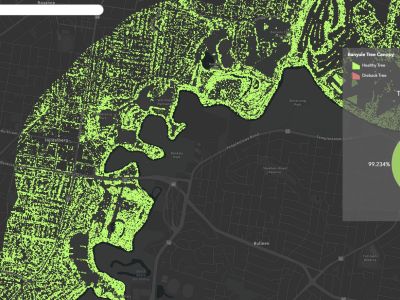 Mapping dashboard showing trees likely to be affected by dieback in red