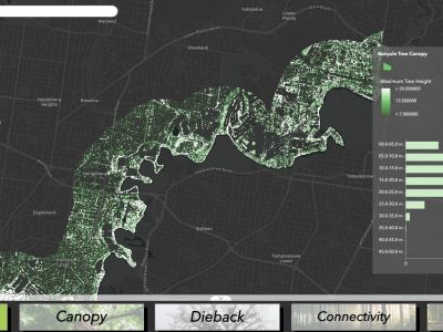 Mapping dashboard displaying green and white areas representing tree height across the Banyule section of Birrarung