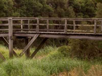 Photo of a bridge at wetlands