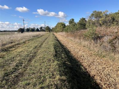 Railway Road drain after a reach mower has cut vegetation
